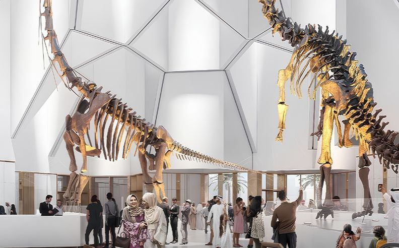A Hands-On Journey Through Natural History