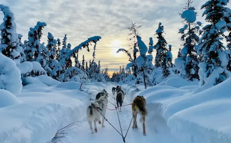 Winter Adventures Reveal Another Side of Alaska
