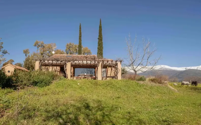 A Countryside Stay Among Horses