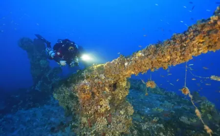 UNITED NATIONS ENDORSES HERITAGE MALTA'S WRECKLIFE PROJECT TO PROTECT UNDERWATER CULTURAL HERITAGE