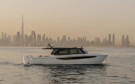 The Silvercat 47, From Vision to Reality