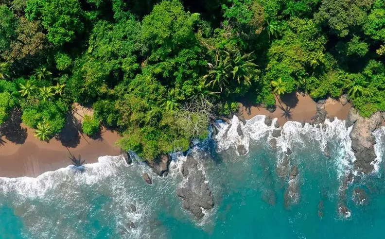 Into the Wild at Corcovado