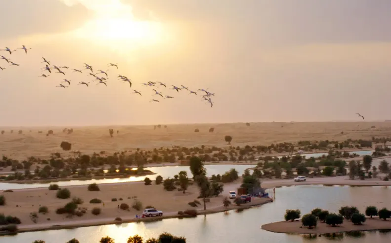 تحت النجوم وبين الجبال.. أجمل وجهات التخييم الشتوي التي تنتظرك في دبي