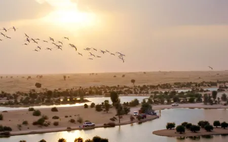 Dubai's Most Stunning Winter Camping Spots for a Night Under the Stars