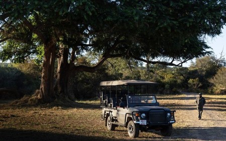 Anantara Stanley & Livingstone Celebrates the Arrival of White Rhinos in Victoria Falls