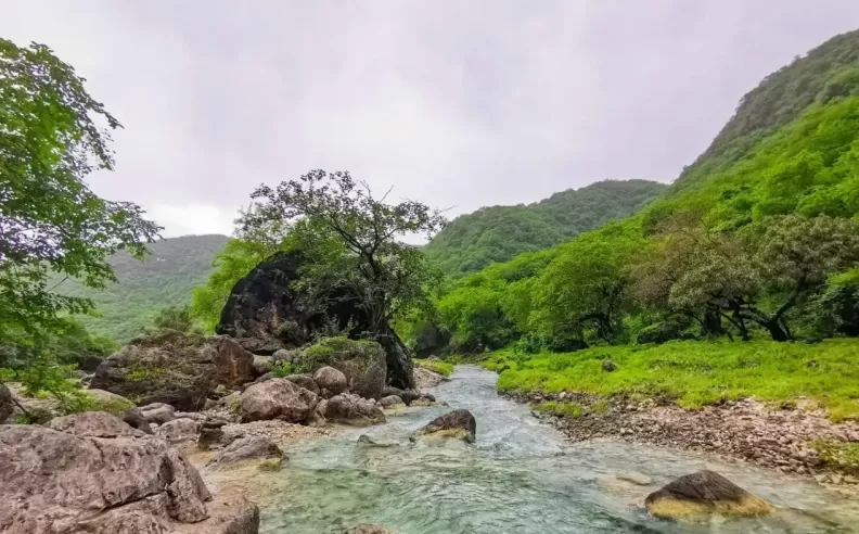 Experience the Enchantment of Dhofar’s Khareef