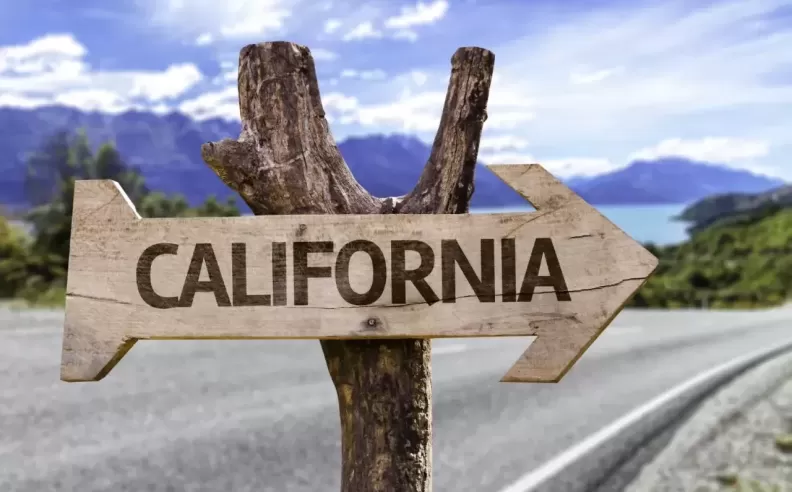 Culinary Delights and Scenic Drives: California's Best Experiences