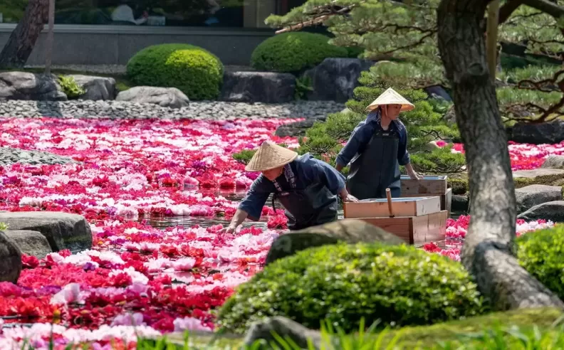 A Serene Escape to Yuushien Garden