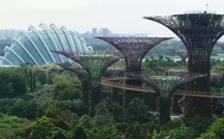 Explore the Beauty of Singapore Gardens by the Bay