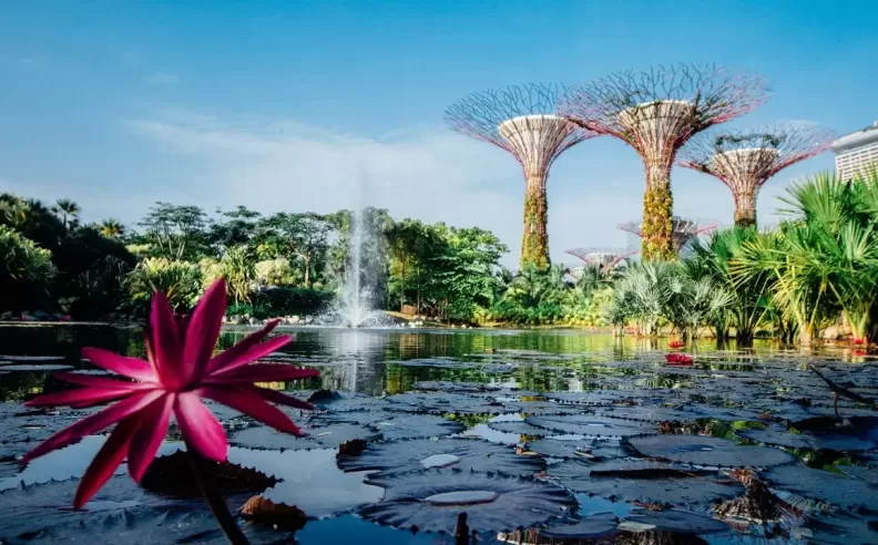 Architectural and Natural Uniqueness of Gardens by the Bay