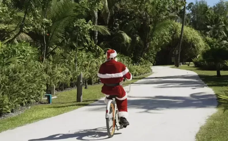 A Festive Island Tradition: Christmas Tree Lighting Ceremony