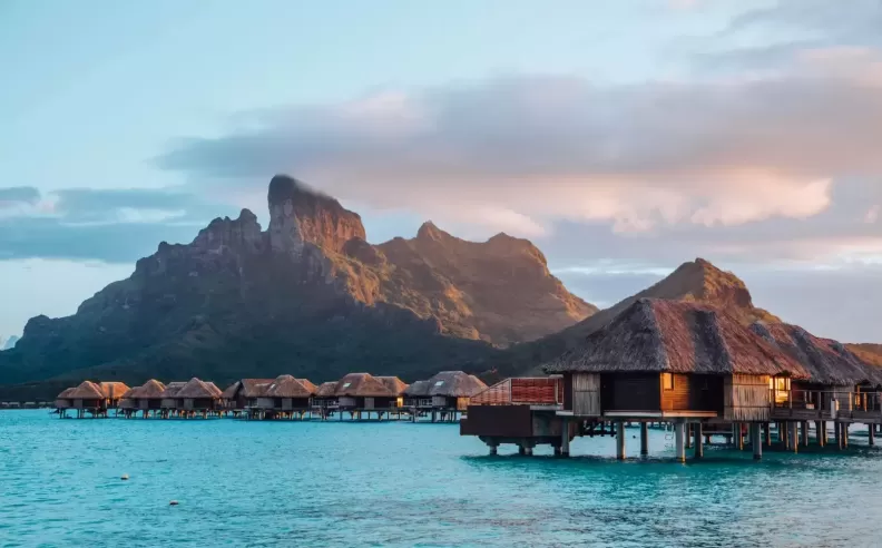 Four Seasons: Crafting Memorable Experiences