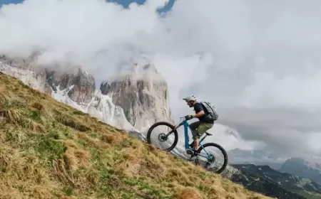 Bosch Performance Line CX: Elevate Your Mountain Biking Experience with Power and Precision