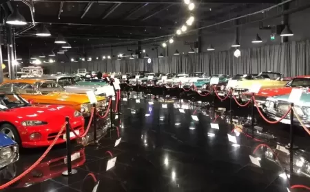 Discover the Țiriac Collection: A Must-Visit for Car Enthusiasts in 2024