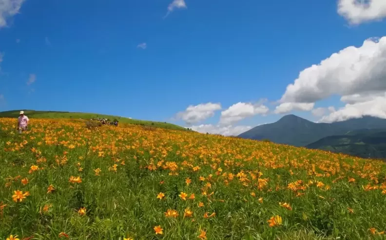 Venus Line, Nagano