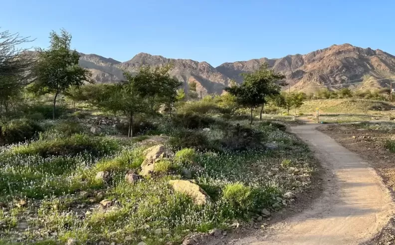 حتا: جنة المغامرين في قلب الطبيعة