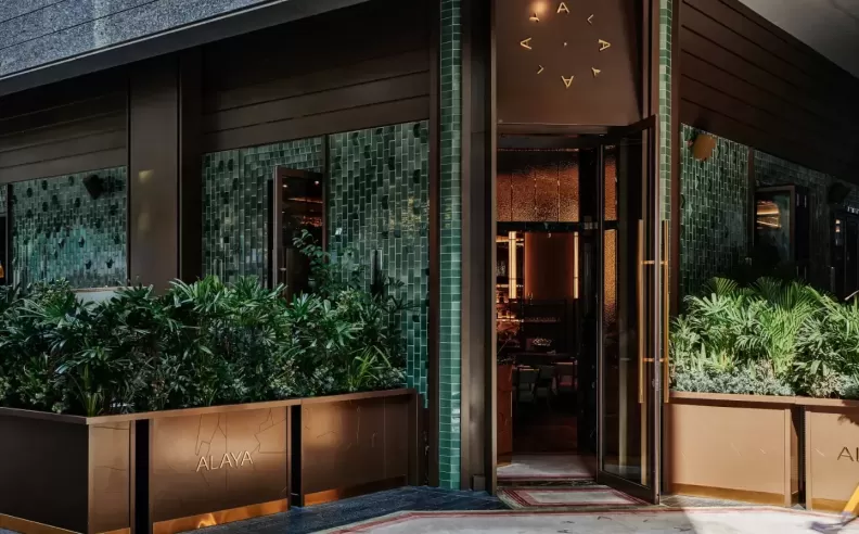 Experience Festive Magic at ALAYA
