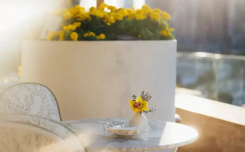 Al Fresco Dining on the Terrace