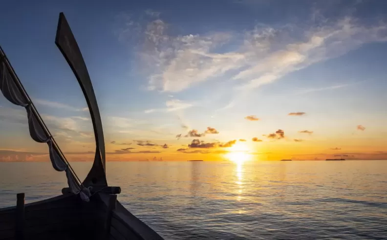 Sunrise Adventures and Ocean Discoveries