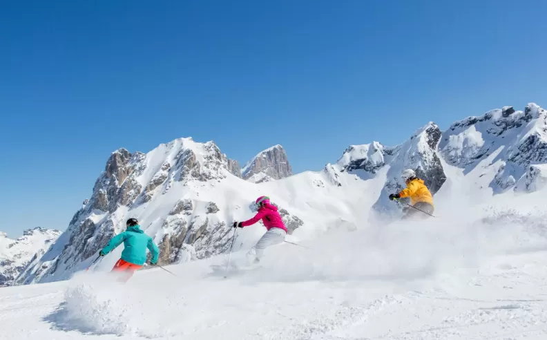 Thrilling Ski Tours for Adventurers