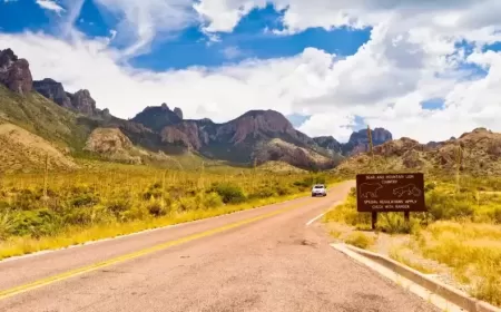 Embark on an Unforgettable Road Adventure: Your Guide to a Perfect Journey