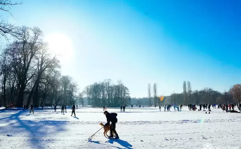 Winter Sports: Thrilling Adventures for All