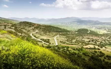 Driving in Turkey: Coastal Roads and Countryside Adventures