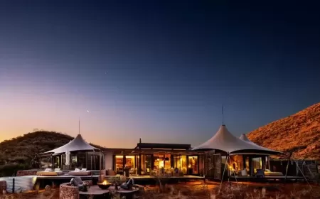 Journey into Africas Wild Luxury at Top Safari Destinations