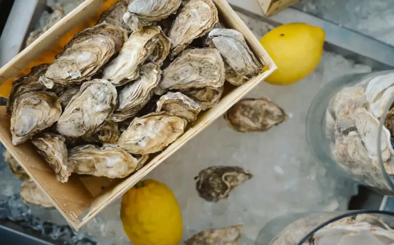 Indulge in a Mediterranean Feast at Squisito Brunch, Boardwalk