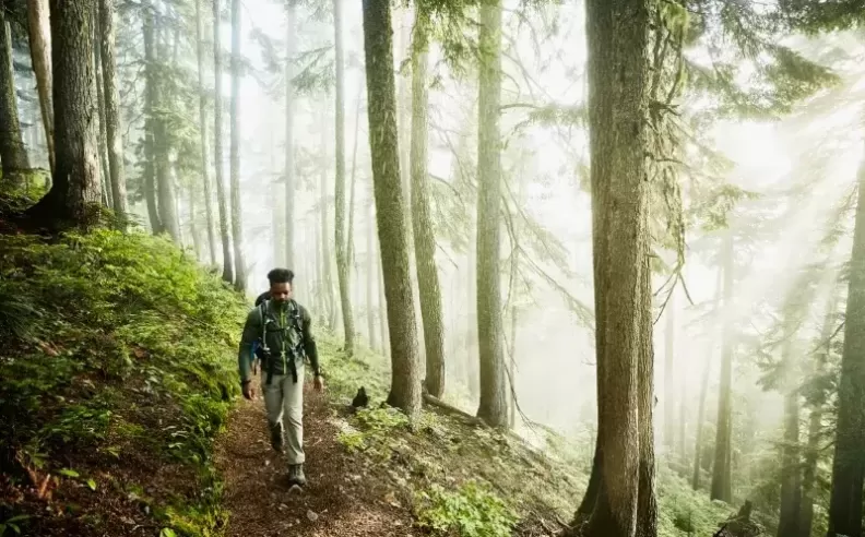 Long-Term Benefits of Outdoor Walking