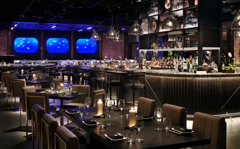 OKKU Dubai