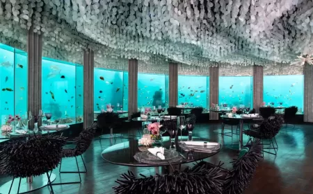 Niyama Launches World’s First Underwater Nikkei Dining Experience