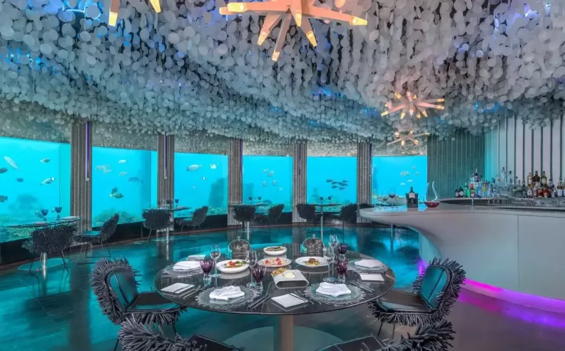 A Culinary Journey Beneath the Waves