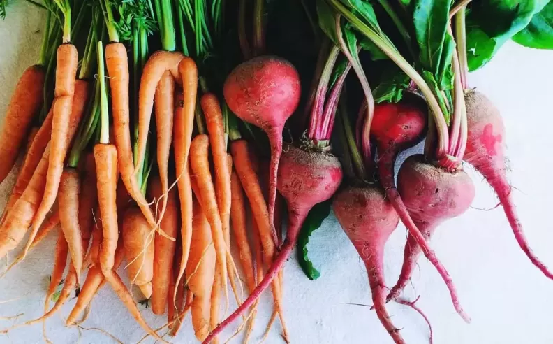 Nutrient-Rich Root Vegetables