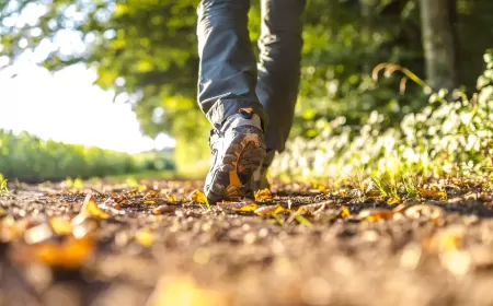 How Walking Transforms Your Body: The Benefits of Every Step