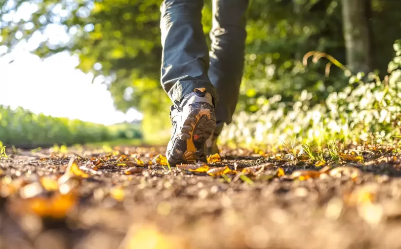 How Walking Transforms Your Body: The Benefits of Every Step