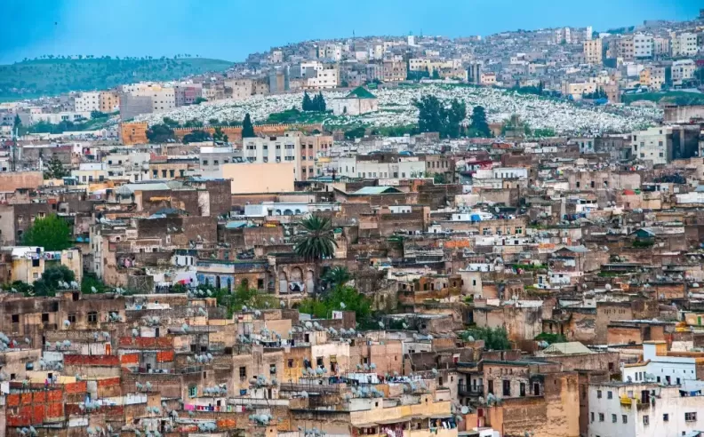 The Maze of Fez Medina