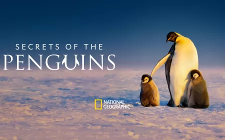 Celebrate This Earth Day With National Geographics Brand New Series Secrets Of The Penguins