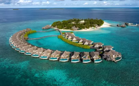 Milaidhoo Maldives Unveils Azure: A Chic and Authentic Dining Experience