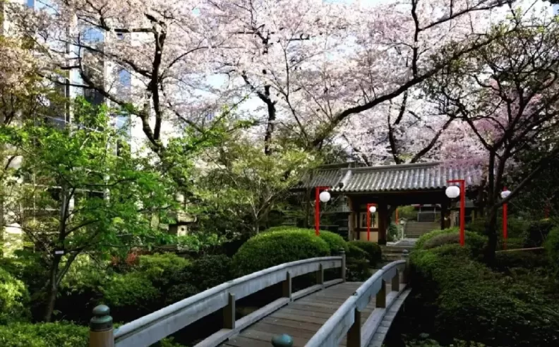 A Japanese-Style Wellness Ritual