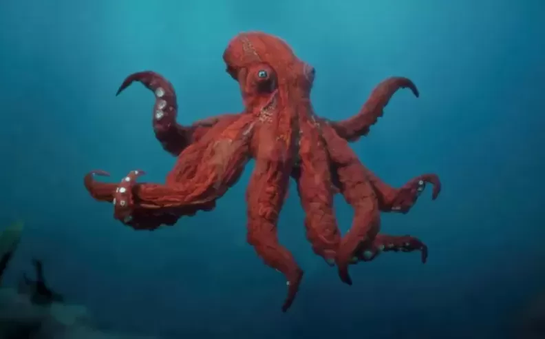 Octopus! on Prime Video