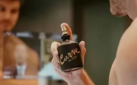 Top Curve Colognes for Men in 2025: A Fragrance for Every Season