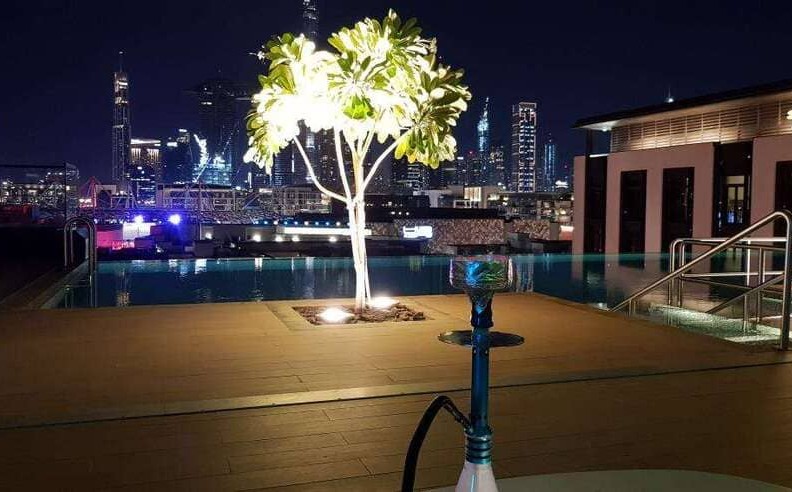 A Rooftop Escape Like No Other at Dip in the Dark