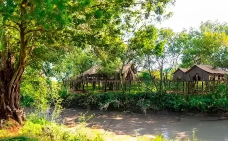 Luxury Safari Escape at Mara Toto Tree Camp in Kenya