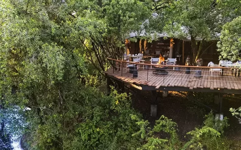 Architecture That Disappears into Nature
