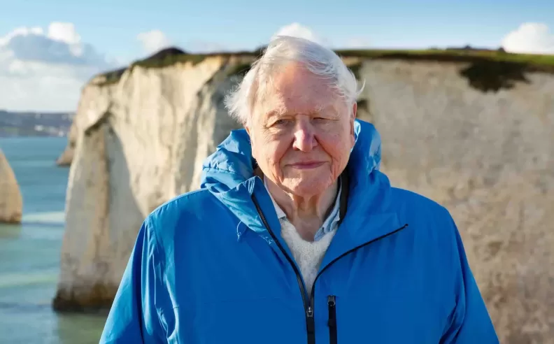هدوء الأعماق في Ocean with David Attenborough
