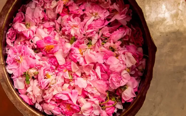 Culture, Entertainment, and Discovery Collide in Saudi