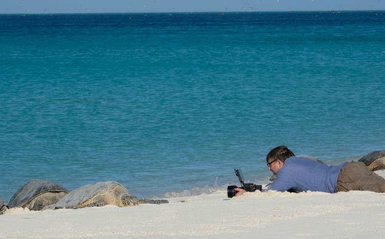 Confronting the Causes of Ocean Collapse