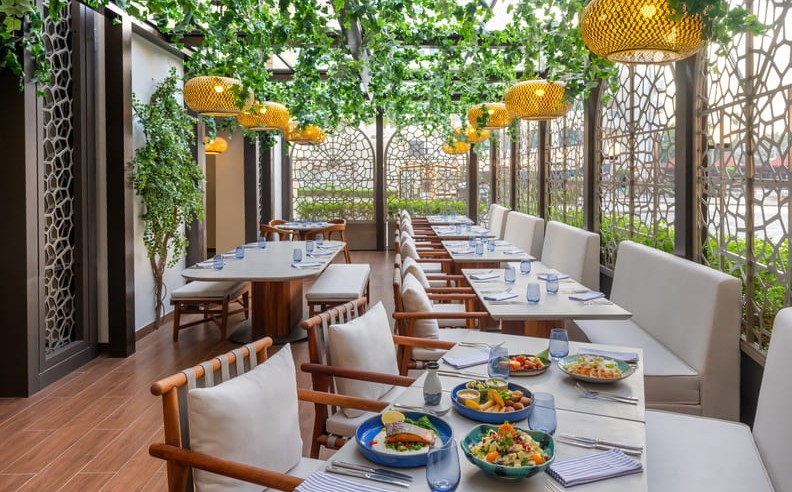 Soak Up the Views and Beachfront Bliss