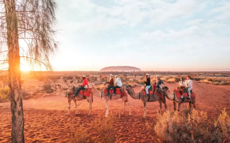 A Cultural Encounter in the Desert